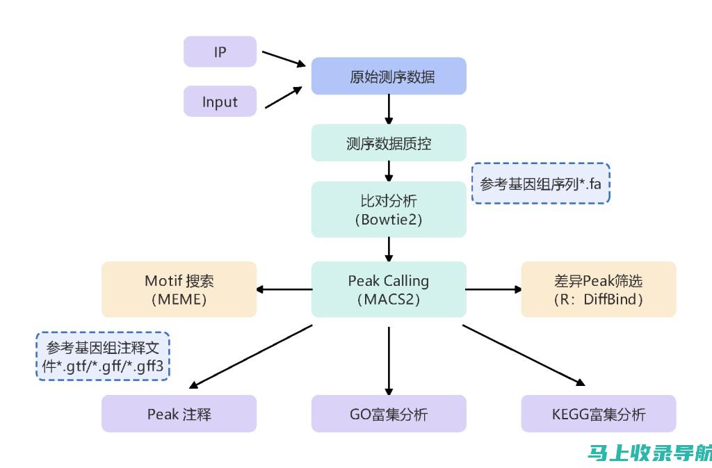 技术进阶指南：站长必备技能进阶攻略